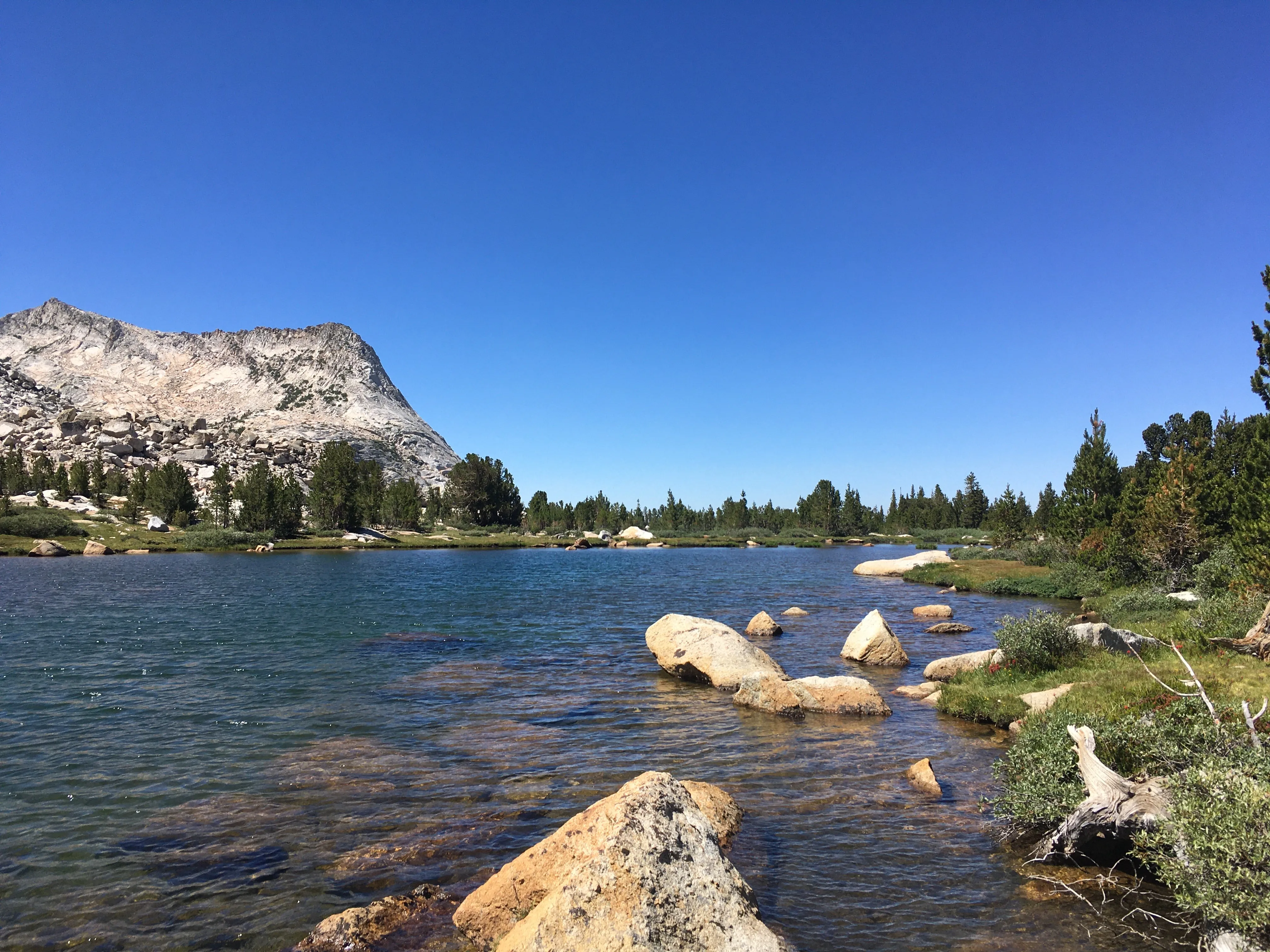 Backpacking Yosemite: Vogelsang