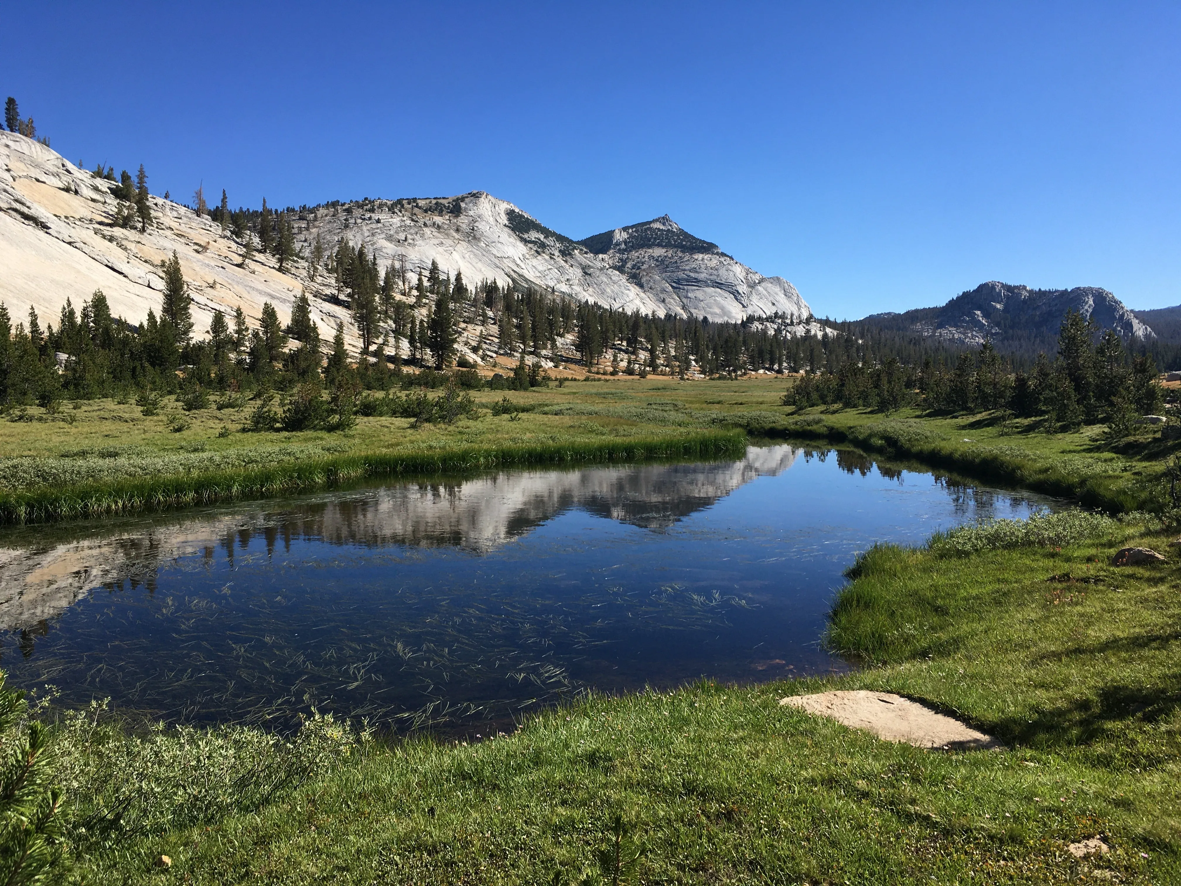 Backpacking Yosemite: Vogelsang