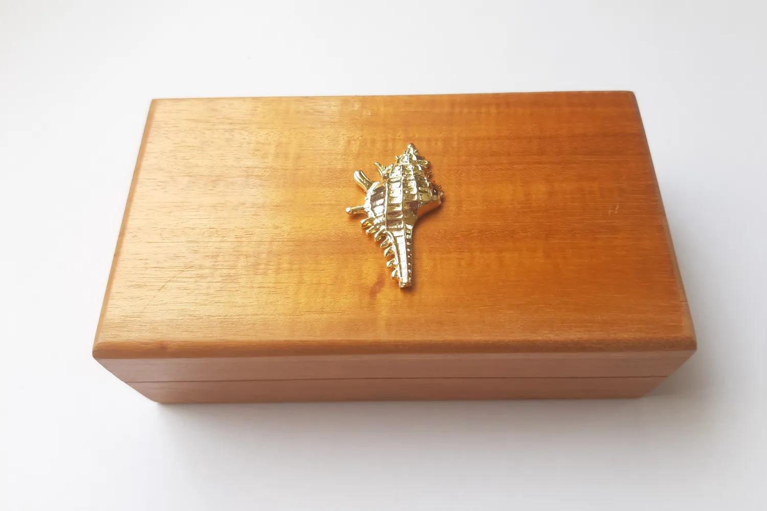 Conch Shell Mahogany Box