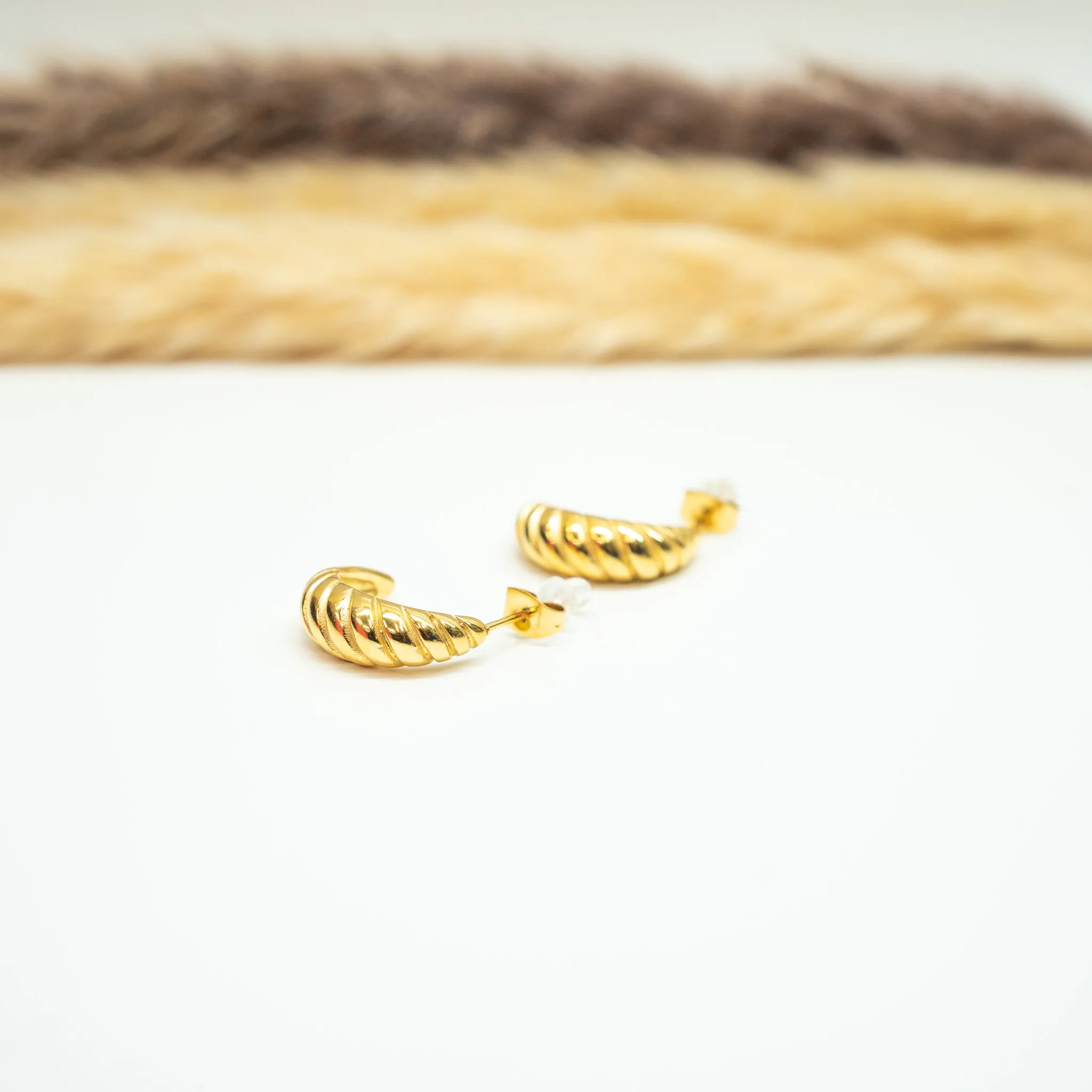 Crescent Shell Earrings