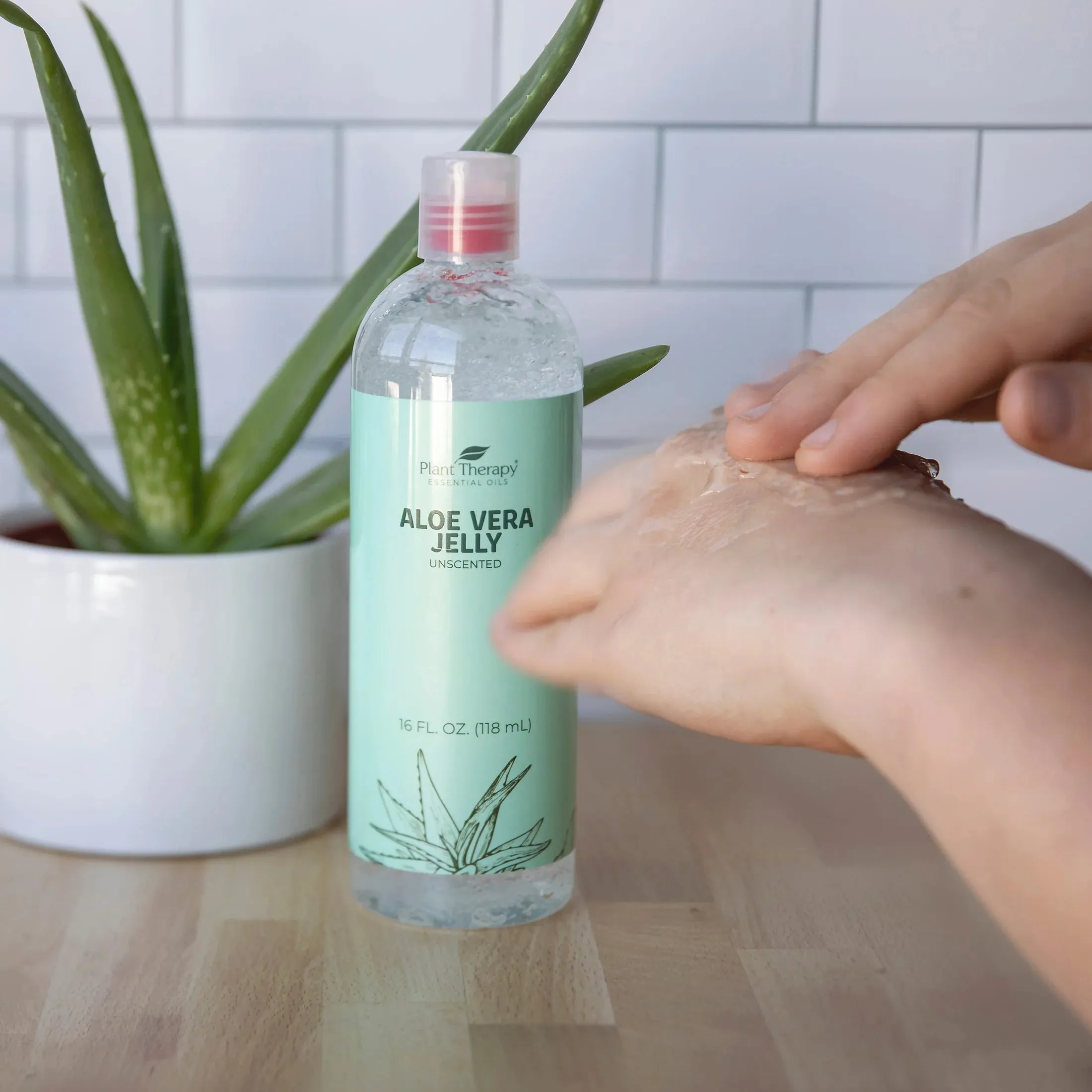 Plant Therapy Aloe Vera Jelly