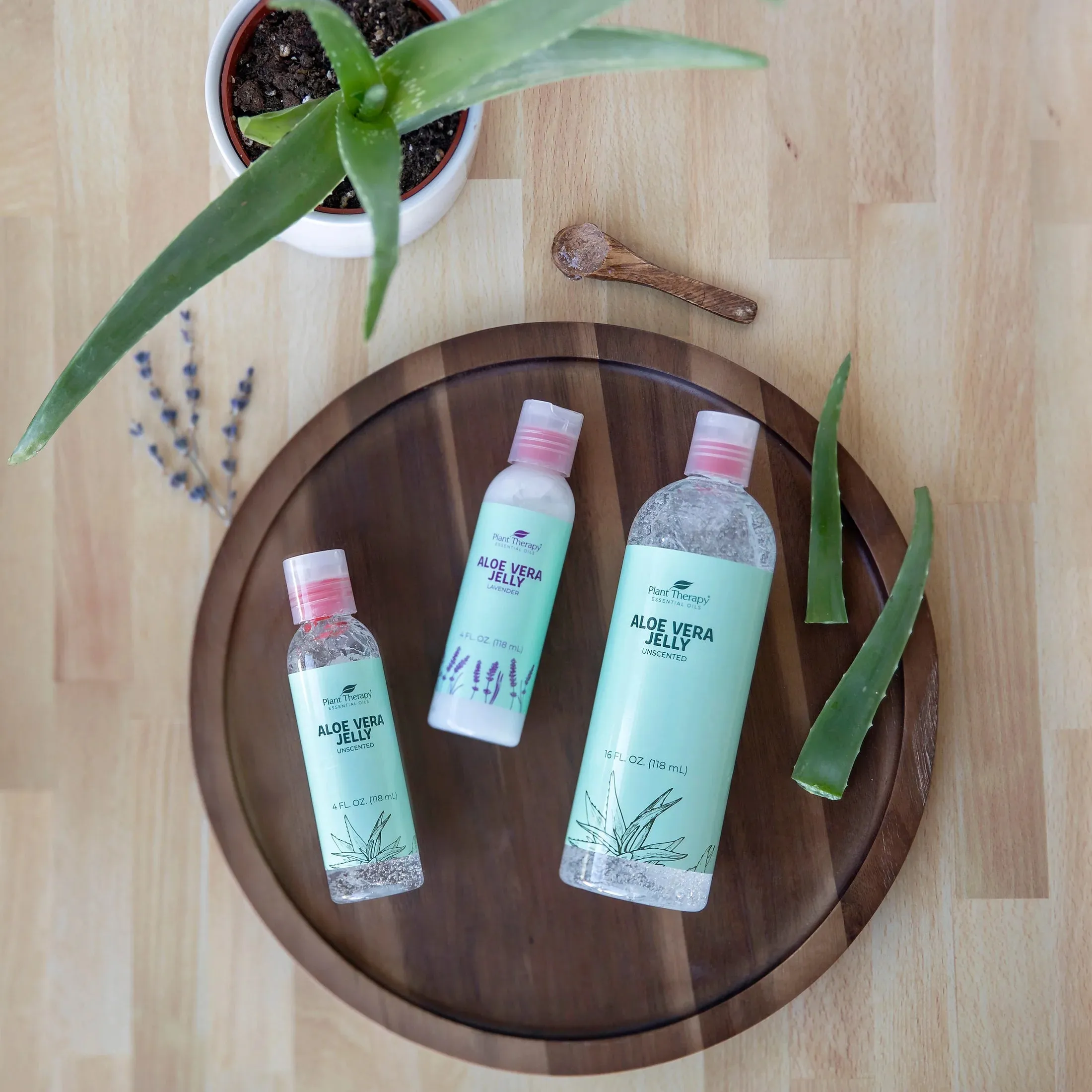 Plant Therapy Aloe Vera Jelly