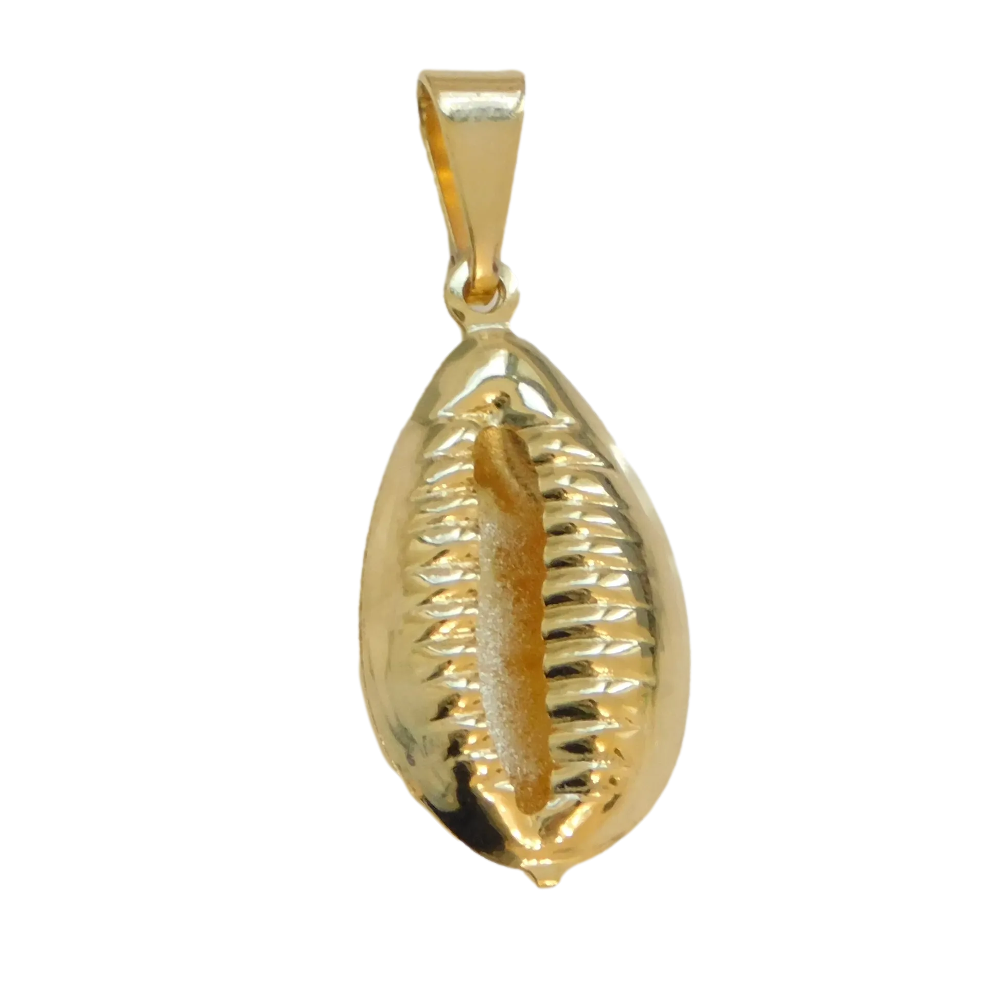 Shell Charm