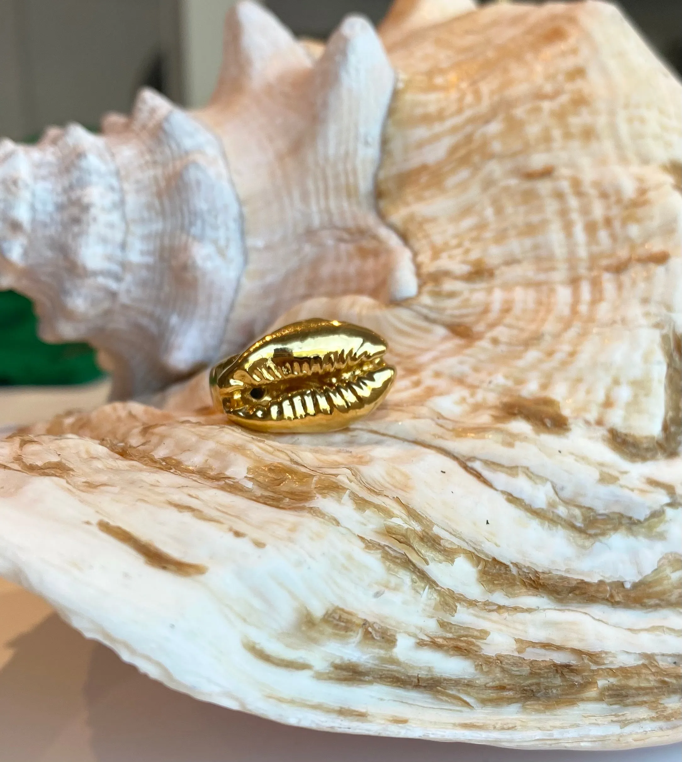 TARA COWRIE Shell Ring